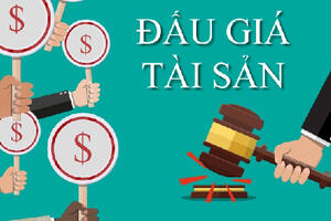 THÔNG BÁO KẾT QUẢ LỰA CHỌN TỔ CHỨC ĐẤU GIÁ TÀI SẢN
