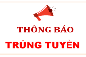 THÔNG BÁO KẾT QUẢ TRÚNG TUYỂN VIÊN CHỨC VÀO LÀM VIỆC TẠI BỆNH VIỆN ĐA KHOA TỈNH TRÀ VINH NĂM 2024